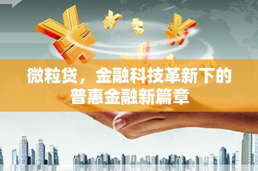海安微粒贷，金融科技革新下的普惠金融新篇章
