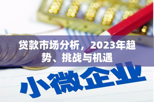 海安贷款市场分析，2023年趋势、挑战与机遇