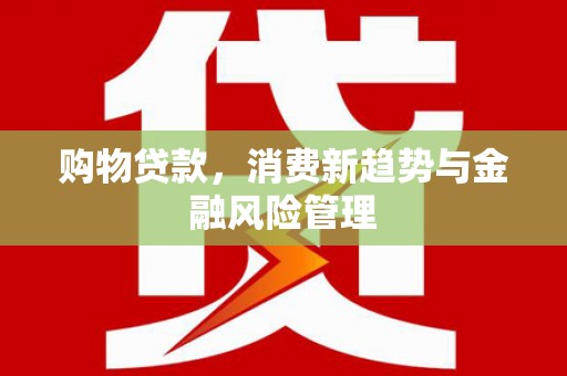 海安购物贷款，消费新趋势与金融风险管理