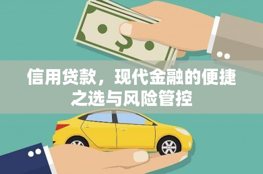 海安信用贷款，现代金融的便捷之选与风险管控