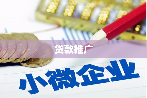 海安贷款推广