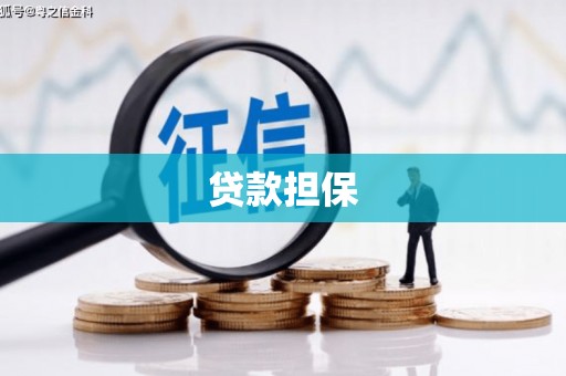 海安贷款担保