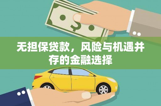 海安无担保贷款，风险与机遇并存的金融选择