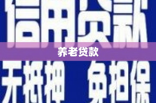 海安养老贷款