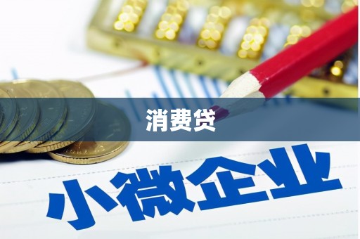 海安消费贷