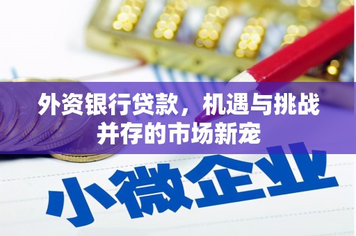 海安外资银行贷款，机遇与挑战并存的市场新宠