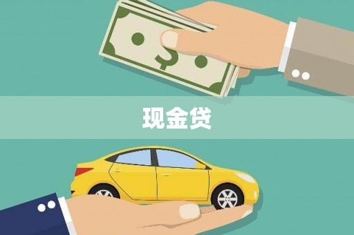 海安现金贷