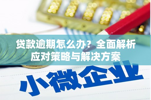 海安贷款逾期怎么办？全面解析应对策略与解决方案