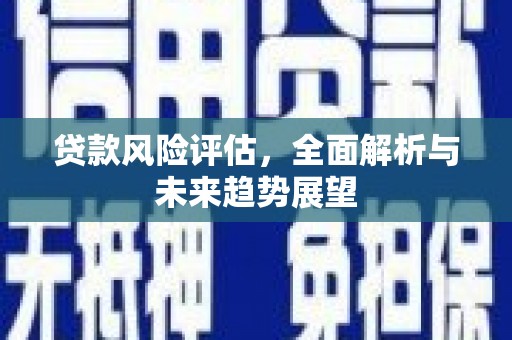 海安贷款风险评估，全面解析与未来趋势展望
