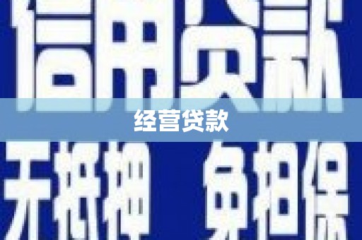 海安经营贷款