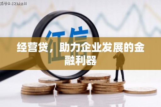 海安经营贷，助力企业发展的金融利器