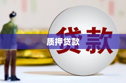 海安质押贷款