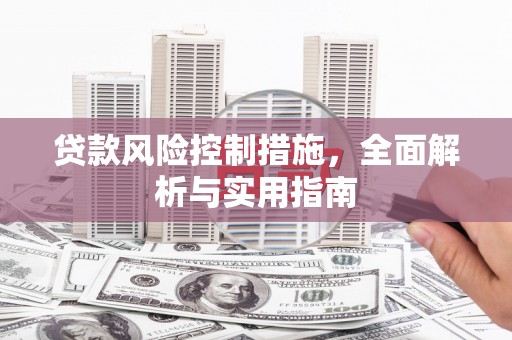 海安贷款风险控制措施，全面解析与实用指南