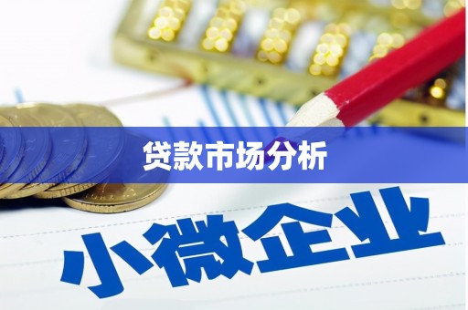 海安贷款市场分析