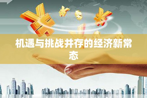 海安机遇与挑战并存的经济新常态