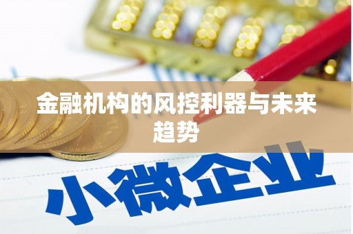 海安金融机构的风控利器与未来趋势