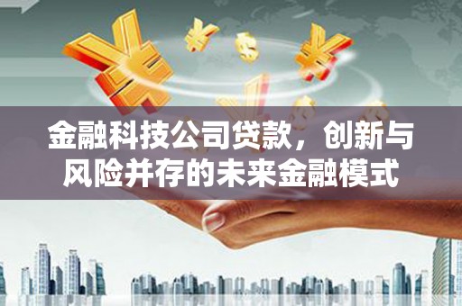 海安金融科技公司贷款，创新与风险并存的未来金融模式