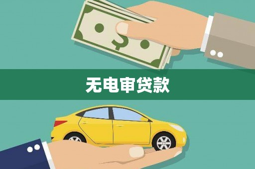 海安无电审贷款