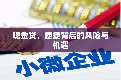 海安现金贷，便捷背后的风险与机遇