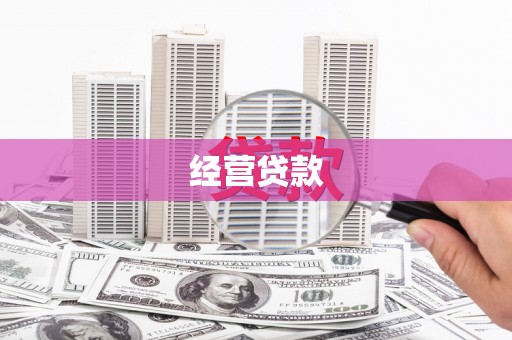 海安经营贷款