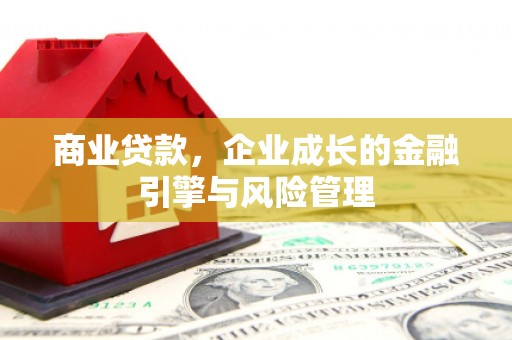 海安商业贷款，企业成长的金融引擎与风险管理