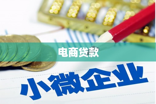 海安电商贷款