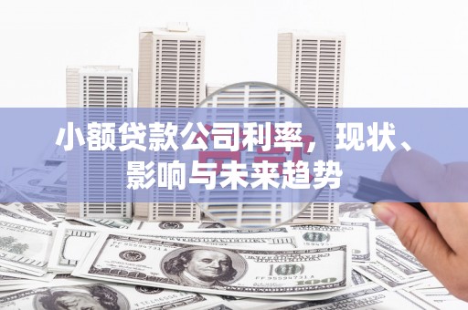海安小额贷款公司利率，现状、影响与未来趋势