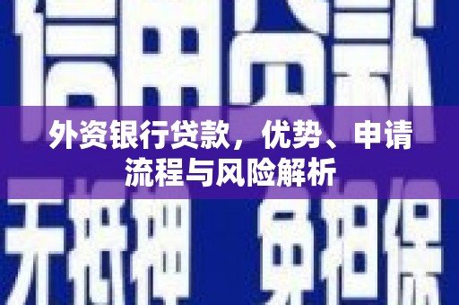 海安外资银行贷款，优势、申请流程与风险解析