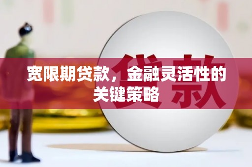 海安宽限期贷款，金融灵活性的关键策略