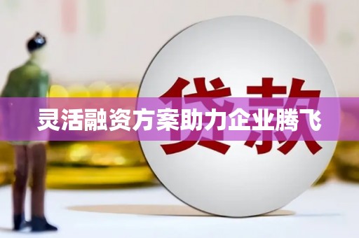 海安灵活融资方案助力企业腾飞