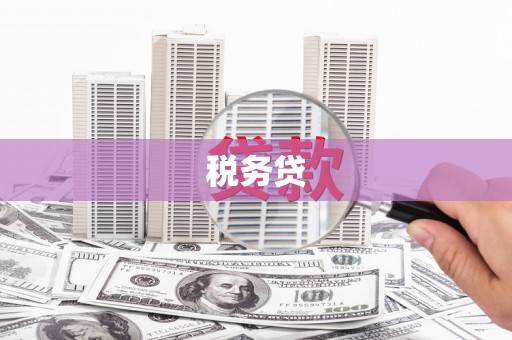 海安税务贷