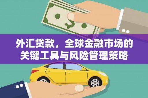 海安外汇贷款，全球金融市场的关键工具与风险管理策略