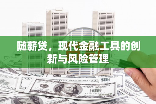 海安随薪贷，现代金融工具的创新与风险管理