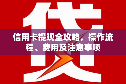 海安信用卡提现全攻略，操作流程、费用及注意事项