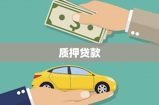 海安质押贷款