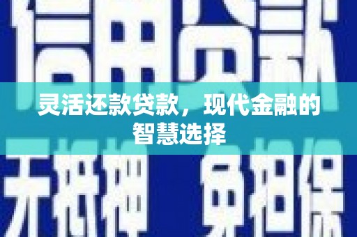 海安灵活还款贷款，现代金融的智慧选择