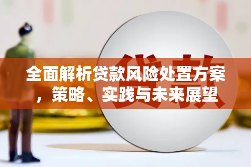 海安全面解析贷款风险处置方案，策略、实践与未来展望