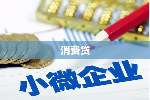 海安消费贷