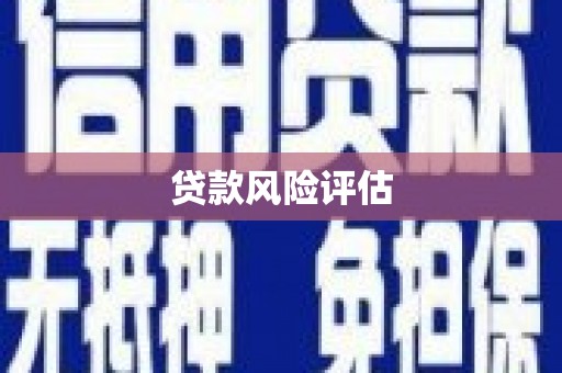 海安贷款风险评估