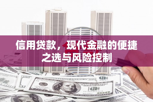 海安信用贷款，现代金融的便捷之选与风险控制
