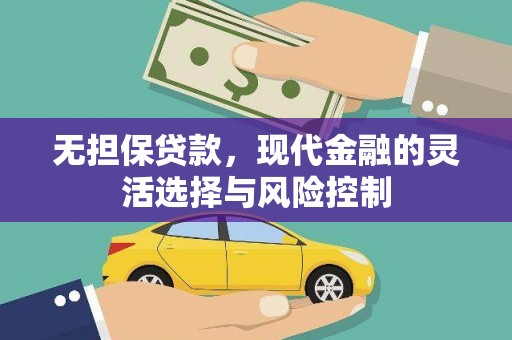 海安无担保贷款，现代金融的灵活选择与风险控制