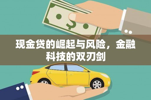 海安现金贷的崛起与风险，金融科技的双刃剑