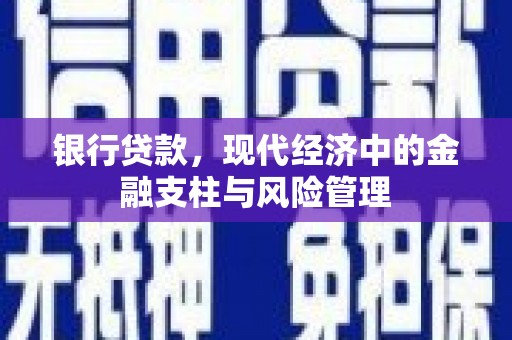 海安银行贷款，现代经济中的金融支柱与风险管理