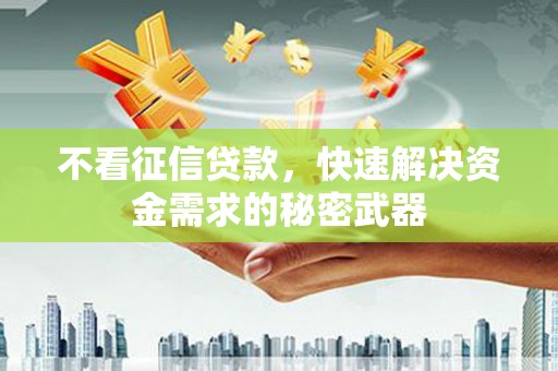 海安不看征信贷款，快速解决资金需求的秘密武器