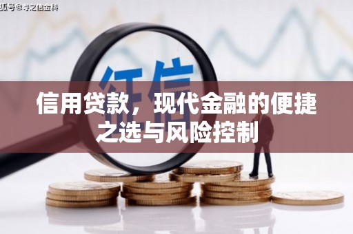 海安信用贷款，现代金融的便捷之选与风险控制