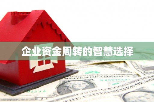 海安企业资金周转的智慧选择