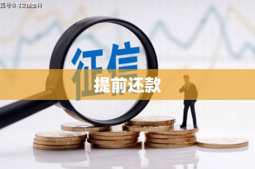 海安提前还款