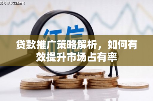 海安贷款推广策略解析，如何有效提升市场占有率