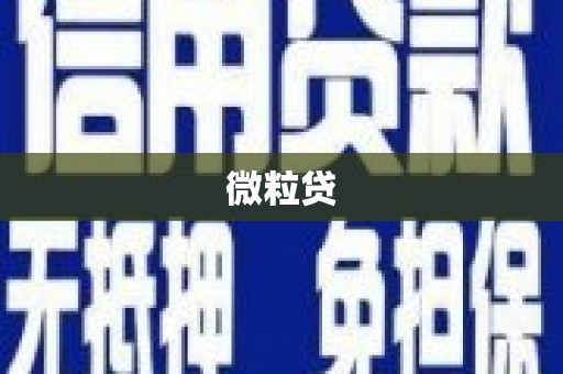 海安微粒贷