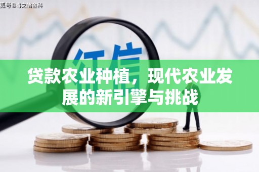 海安贷款农业种植，现代农业发展的新引擎与挑战